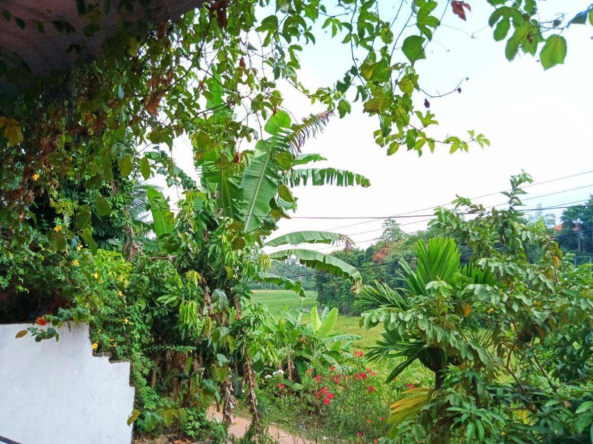 Green View Guest Mirissa Luaran gambar
