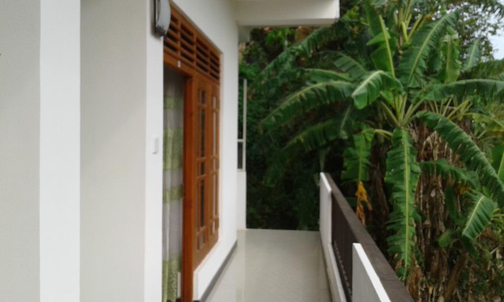 Green View Guest Mirissa Luaran gambar