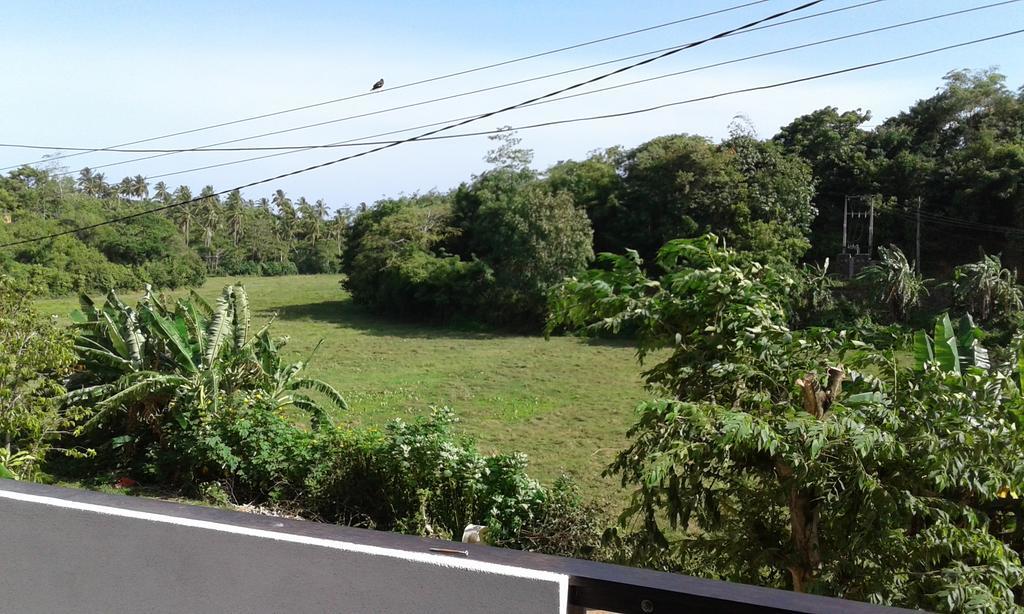 Green View Guest Mirissa Luaran gambar