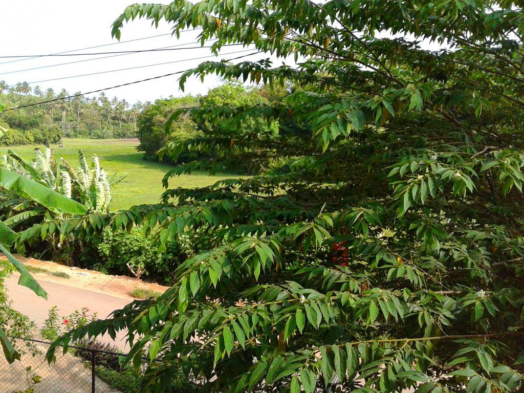 Green View Guest Mirissa Luaran gambar